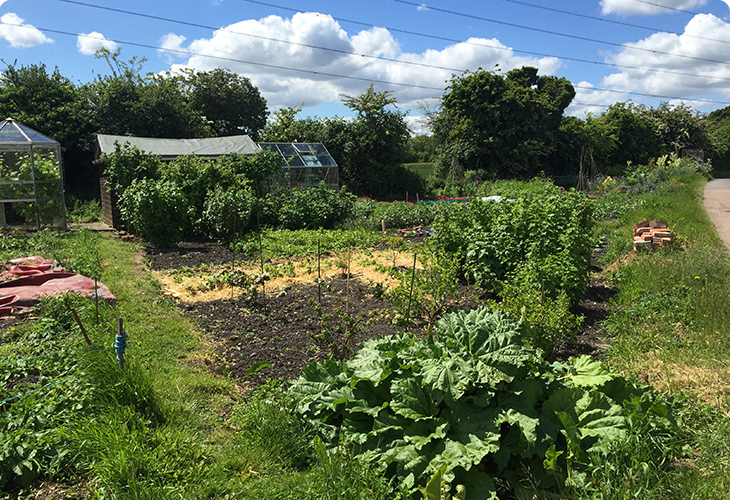 allotments