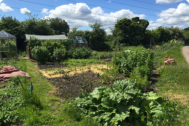 Allotments